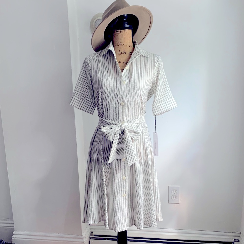 Calvin Klein pin stripe button down dress